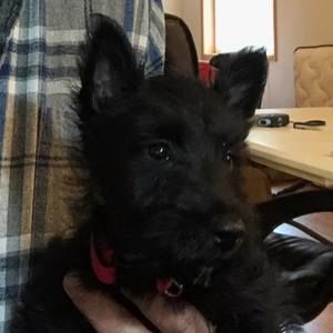 Meet your Posher, Myrna